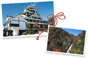 観光情報 SIGHTSEEING