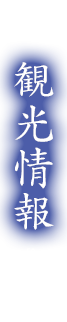 観光情報（周辺）